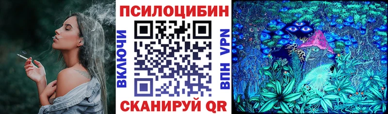 Псилоцибиновые грибы Psilocybe  сколько стоит  Осташков 